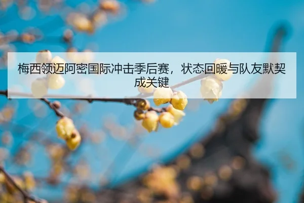 mei-xi-ling-mai-a-mi-guo-ji-chong-ji-ji-hou-sai-zhuang-tai-hui-nuan-yu-dui-you-mo-qi-cheng-guan-jian-2-849.jpg