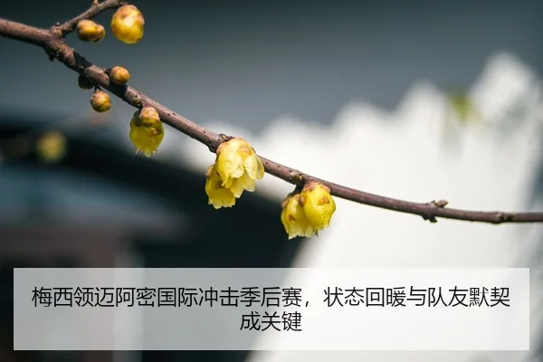 mei-xi-ling-mai-a-mi-guo-ji-chong-ji-ji-hou-sai-zhuang-tai-hui-nuan-yu-dui-you-mo-qi-cheng-guan-jian-3-941.jpg