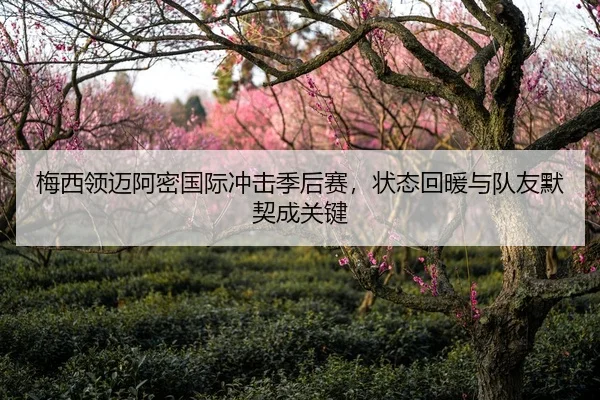 梅西领迈阿密国际冲击季后赛，状态回暖与队友默契成关键
