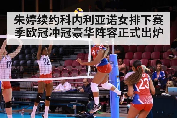 volleyball Champions League match